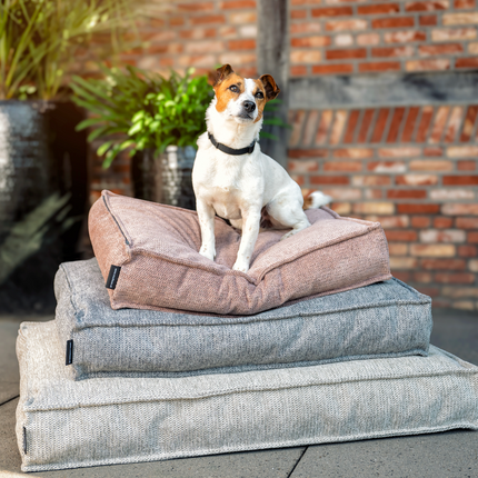 Collection image for: Hondenkussens