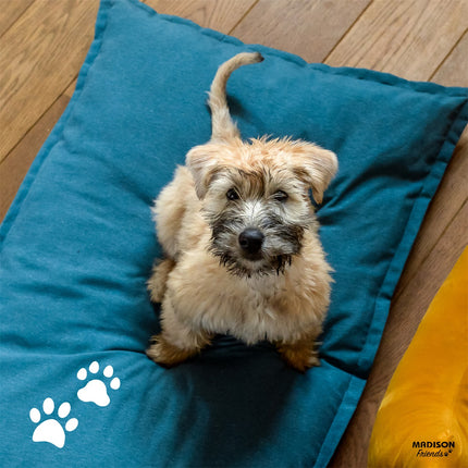 Hondenkussen comfort ca.100x70x10cm Panama sea blue